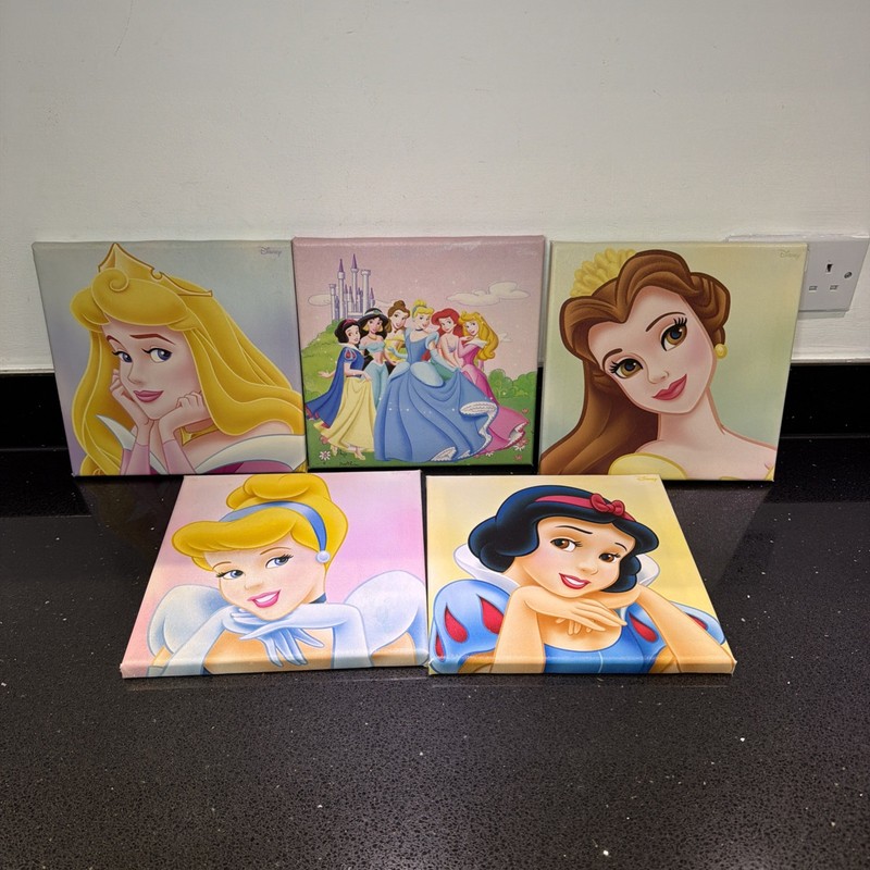 Disney Princesses canvas prints bundle x 5 (24cm x24cm)