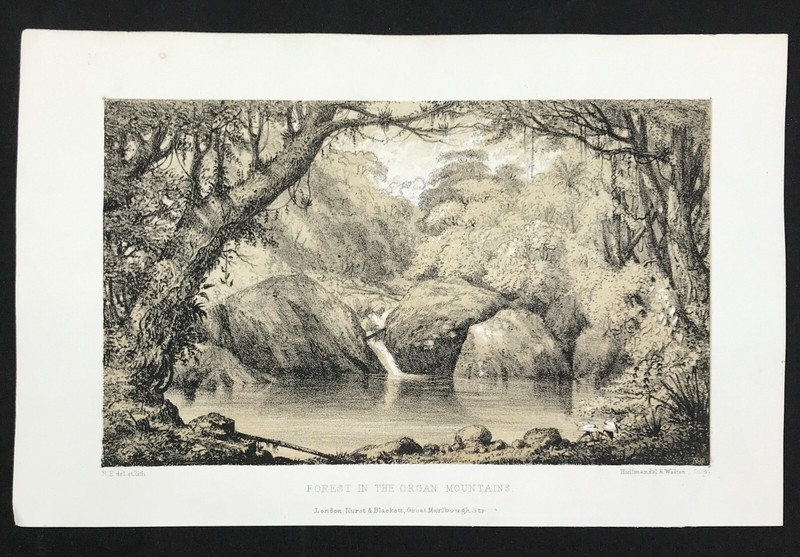 Organ Mountains Forest New Mexico Original 1854 Print by Hullmandel