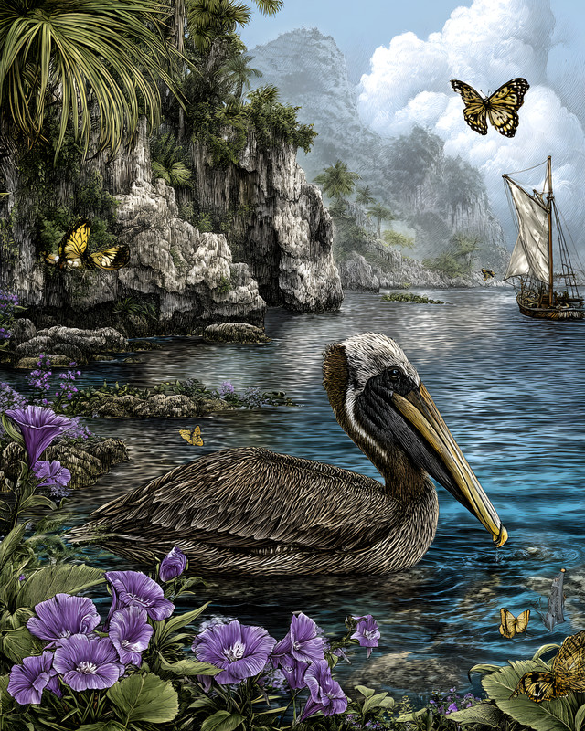 8x10 Pelican on Tranquil Tropical Lagoon Art Print - 922052317