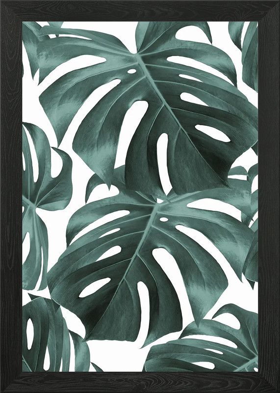 Minimalist floral A27 Framed Wall Art Poster Canvas Print Picture