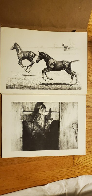 C.W. Anderson vintage bred to run horse prints 1960 gallery