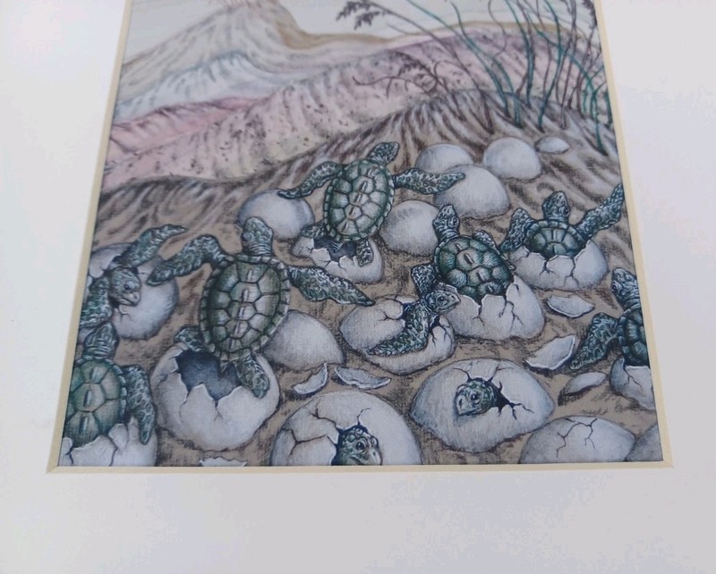 Sea Turtle Hatching Sea Turtles Giclee Print gallery