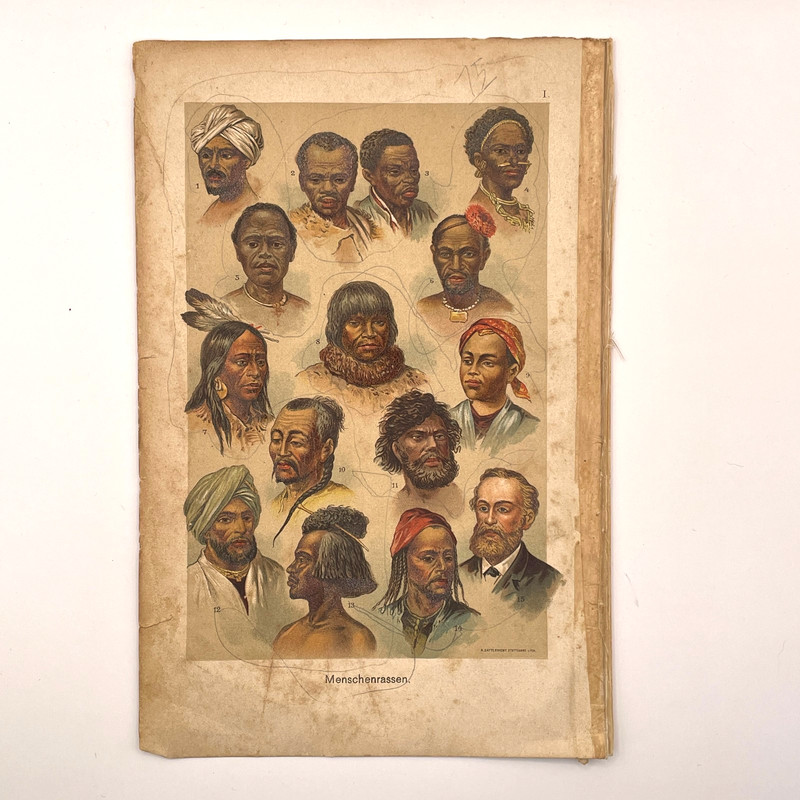 1901 Chromo Print Race Ethnicity People Human Martins Naturgeschichte 9.5×6