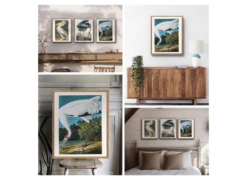 John James Audubon Framed Bird Prints Set Realism Nature Art Medium Portrait