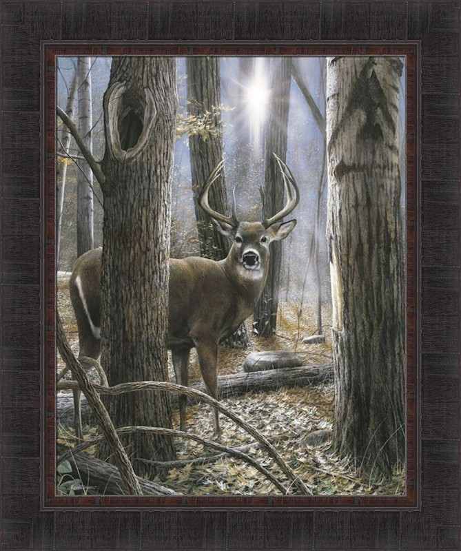 WOODLAND SENTRY by Kevin Daniel 21×25 Deer Buck Sunlight Trees FRAMED WALL ART