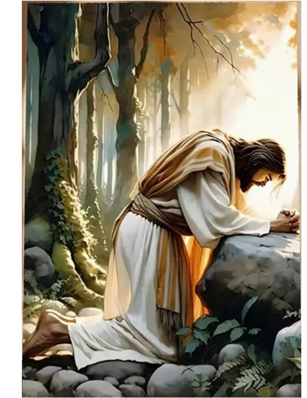 Flat Canvas Print picture JESUS Praying in the Garden Ready to be framed 12x16"