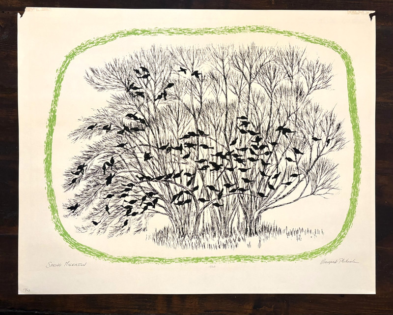 Spring Migration, by Margaret Philbrick, Original, Limited Edition Bird Print