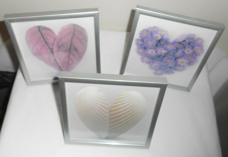 HEART of Leaves, of Shells, of Flowers 3 Small Prints 5.375" Silver Metal Framed gallery