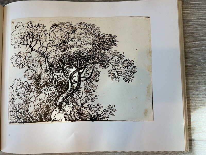 The Claude Lorrain Album Page 30, «Study of a Tree» Print