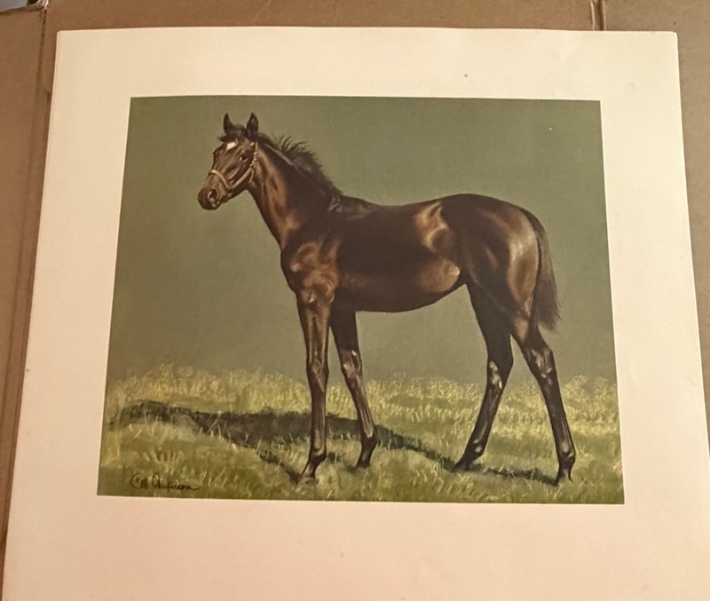 Accent On Youth C. W. Anderson Complete Set of 1950's Vintage Horse Prints gallery