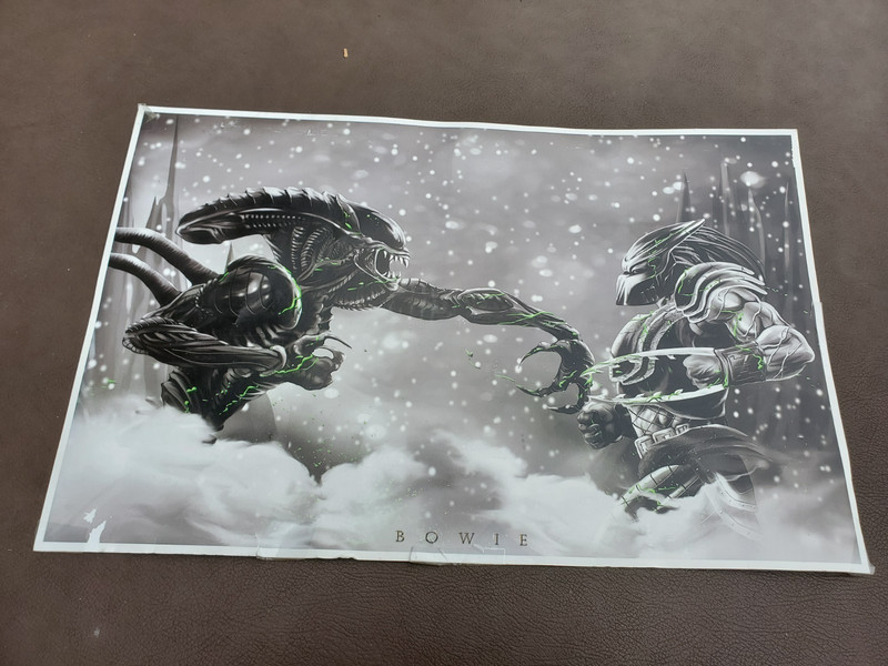 Alien vs Predator Panoramic art by Damon Bowie 26″x12″