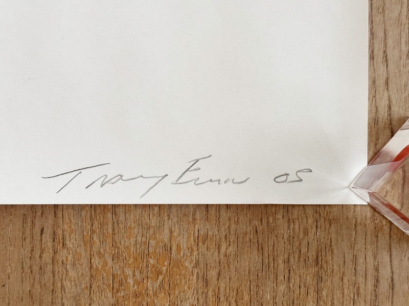 Tracey Emin When I Think About Sex, 2005 gallery