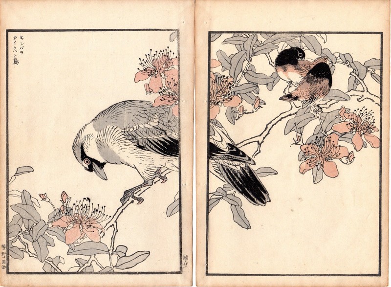 2 Antique 1884 Meiji Kono Bairei Woodblock Prints: Thrush, birds & blossoms
