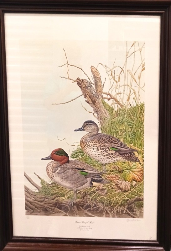 DUCKS UNLIMITED CUSTOM FRAMED 1984 PAINTING, GREEN WINGED TEAL BY KENNETH FERRIS