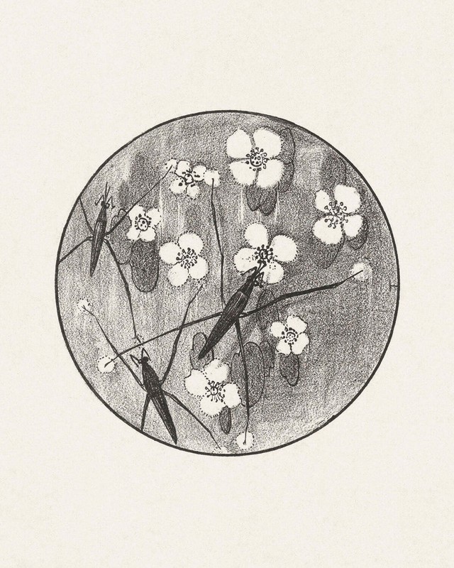 Aankondiging met insecten en bloemen by Theo van Hoytema Art Print