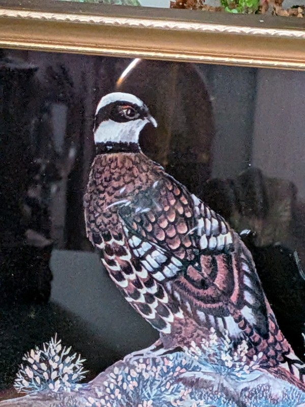 Vintage Reeves Pheasant Framed Wildlife Art Print S. McGregor 1970s 1980s Retro gallery