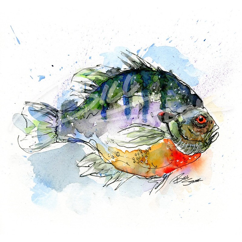 6 Splashy Fish Prints Art Print by Bill Stork gallery