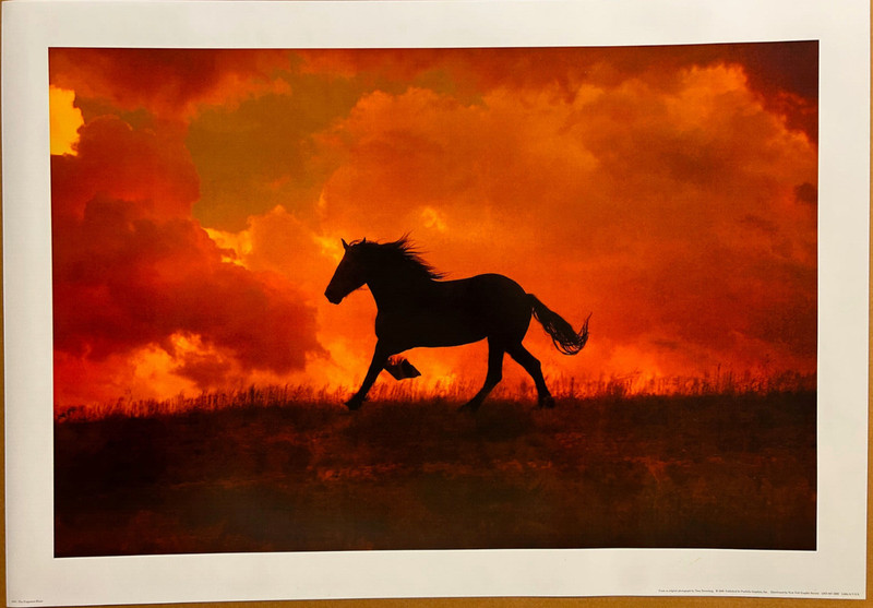 The Forgotten Horse by Tony Stromberg 2008 Art Print Western Ranch Poster 19×27