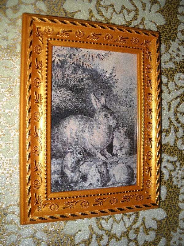 WILD RABBIT FAMILY 3 1/2 X 5 gold framed print Victorian style animal picture