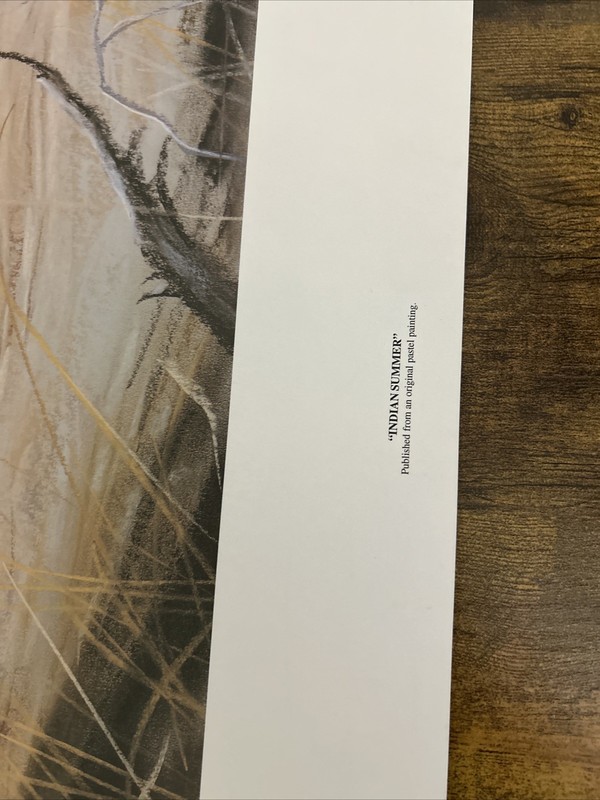 Indian Summer, Maija, 1993, 26 1/2 X 32, S/N#754/950, Image 22 1/2 x 27 1/2, New gallery