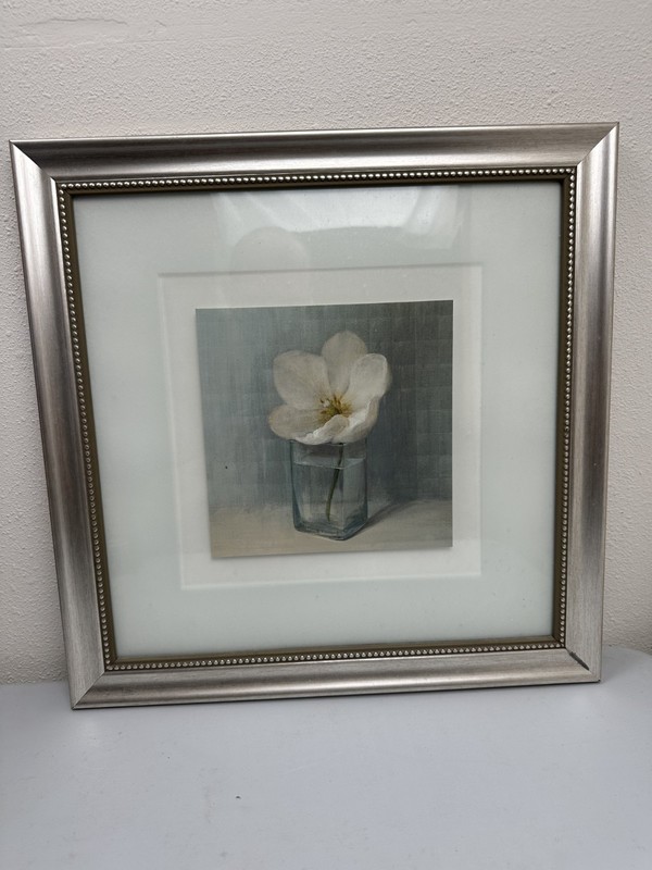 Tulip Single Flower Print 18″ x 18″ Silver Framed Art Picture