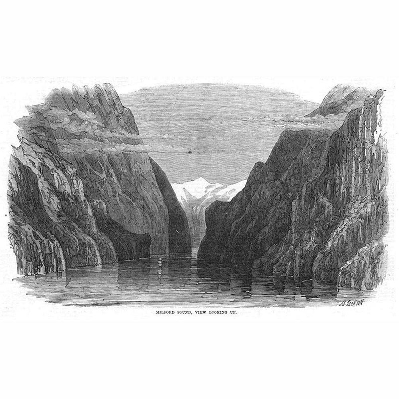 NEW ZEALAND Milford Sound View Looking Up – Antique Print 1869