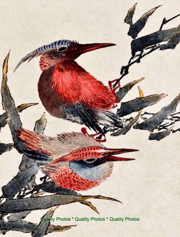 Red Birds on a Tree Branch 8.5x11" Photo Print Katsushika Hokusai Japanese Art