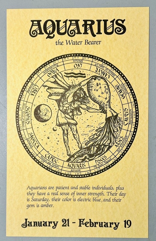 Vintage 1970s Aquarius The Water Bearer Zodiac Astrology Original Print 16x10