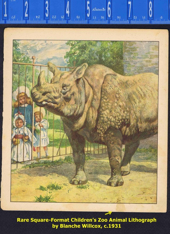 The Rhinoceros, Children's Zoo Animal Chromolithograph, 1931, Willcox