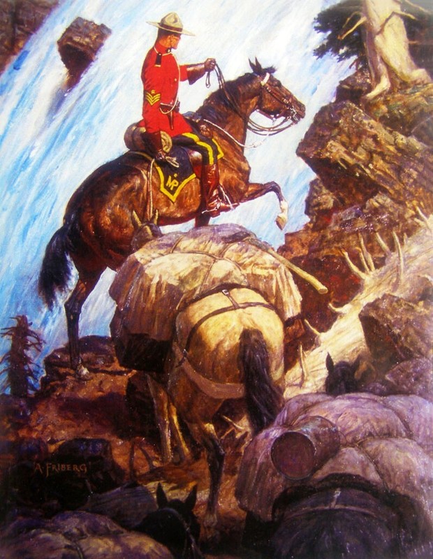 Canadian Mountie Horses Waterfall