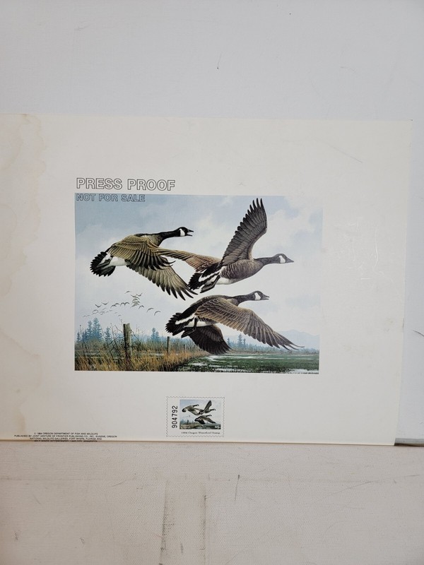 1984 OREGON State Waterfowl Stamp Print MICHAEL SIEVE Fish Wildlife Press Proof