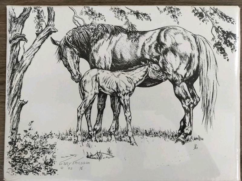 Gary Ericsson 1982 Horses Lithograph Print 12×16 Sealed Original Wrap HT Brand