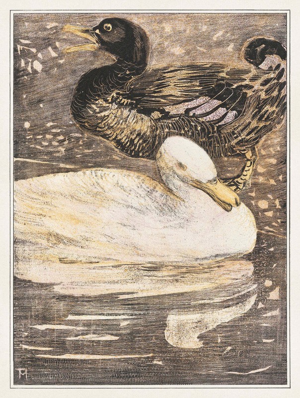 Ducks II by Theo van Hoytema Art Print