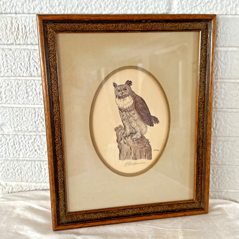 Vintage FRAMED SIGNED EDWARD DUDLEY WILLIAMS HORNED OWL PRINT