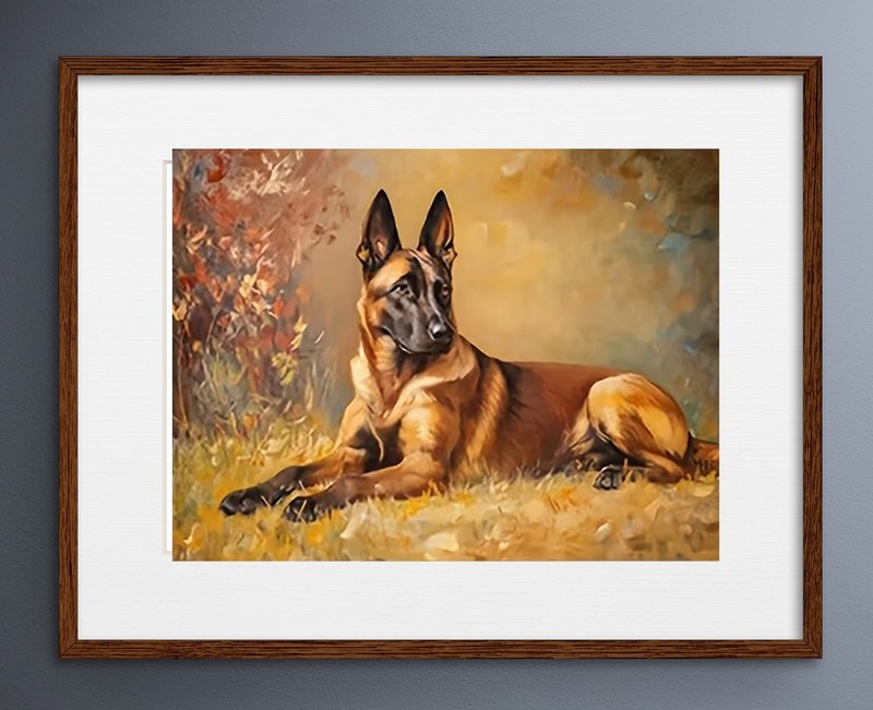 Belgian Mallinois Dog Animal Painting Print Unframed Canvas Wall Art 30 x 40cm gallery