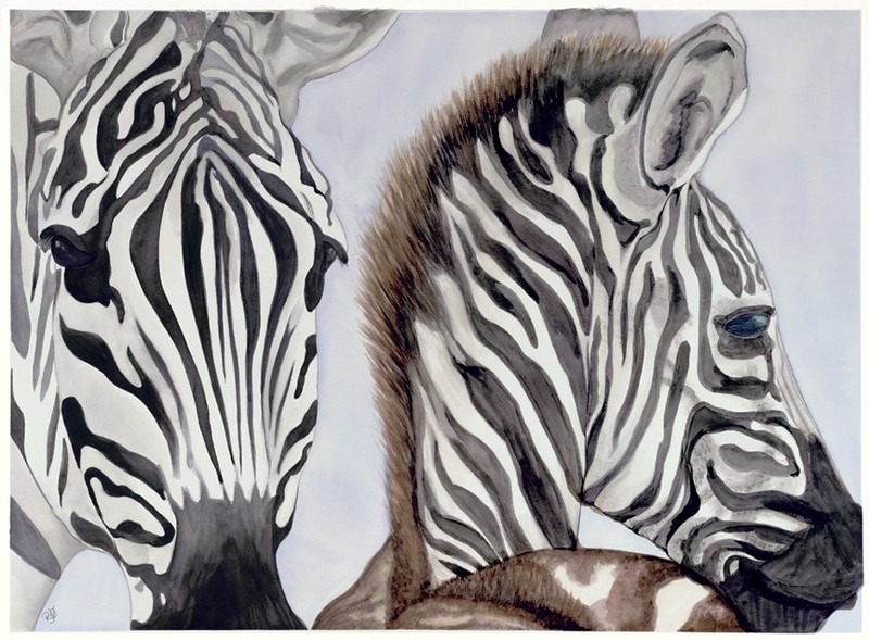 Limited Edition Giclee Print Symphony of Stripes 15 x 20 paper