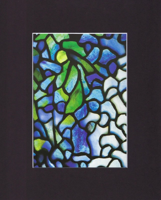 8X10 Matted Print Art Picture Louis Comfort Tiffany Stained Glass: Florals
