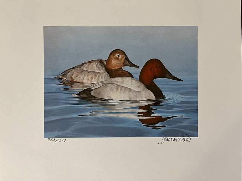 Tom Hirata First Of State New Jersey Canvasback 833/1210 Nice