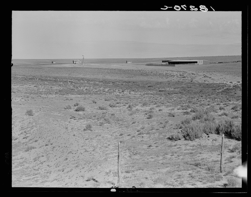 Dorothea Lange Great Plains Sheep Barn New Mexico 1938 FSA Photo Print 20×16