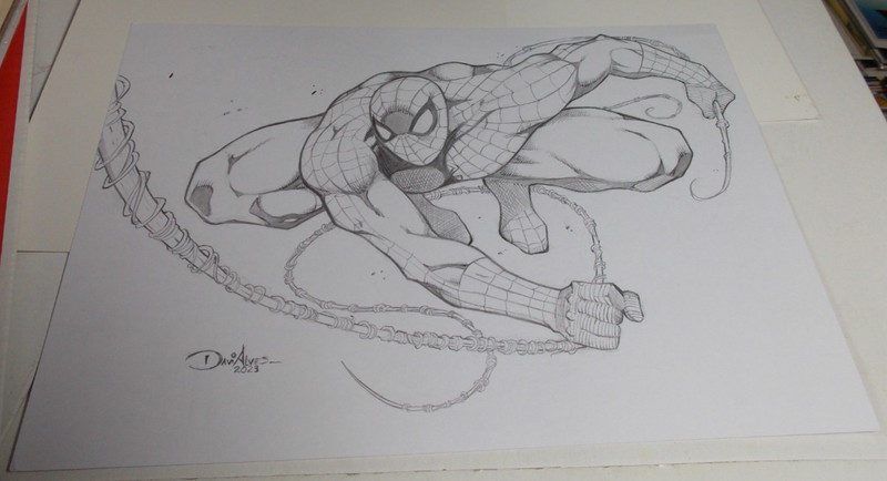 SPIDERMAN Original pencil sketch by Davi Alves in black and white 8.5 x 12 inch
