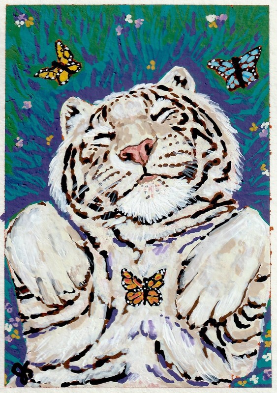 ACEO Original Print White Tiger Butterflies Whimsical Cute Animal Wildlife Art