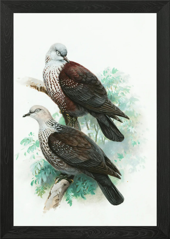 Two Birds on a Branch Painting Framed Wall Art Poster Canvas Print Picture