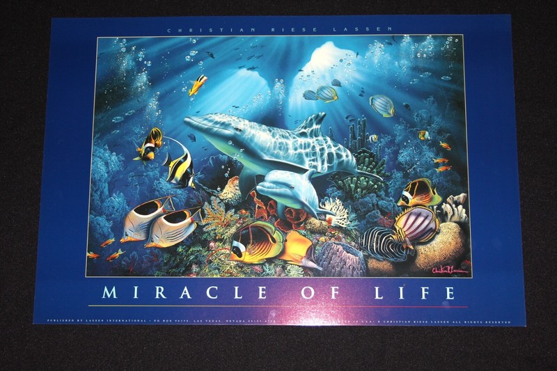 Miracle of Life, Christian Riese Lassen print 16x24 Art, code: CRLMOL16X24