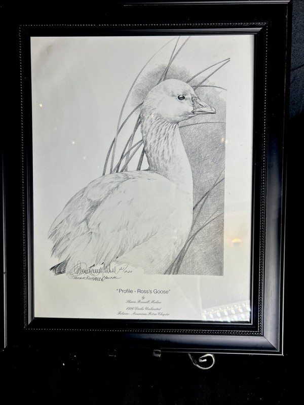 Sherrie Russell Meline Signed Print “Profile Ross’s Goose”Ducks Unltd COA 21/200