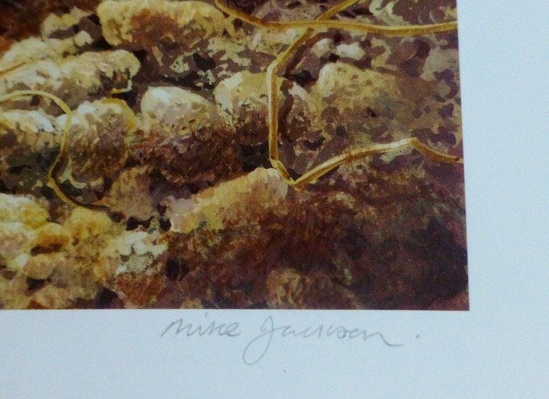 Michael JACKSON Lithograph Young Rabbits cute bunnies Hand Signed UK Artist art gallery