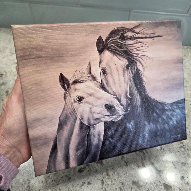 NEW Smoke Stallion Gallery Wrap Print 8x10 Home Decor Painting JDMNSON gallery
