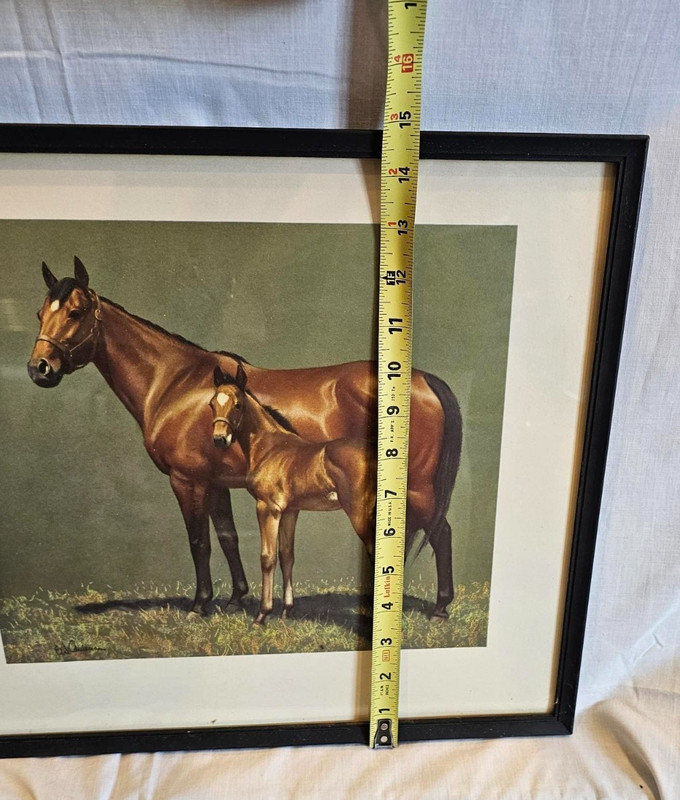 Vtg MCM🔥Horse and Foal Print by CW Anderson. 1950s Framed FREE S&H gallery