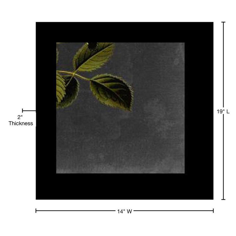 Midnight Botanical I by Vision Studio Floater Frame Nature Wall Art 19 In. X 14 gallery