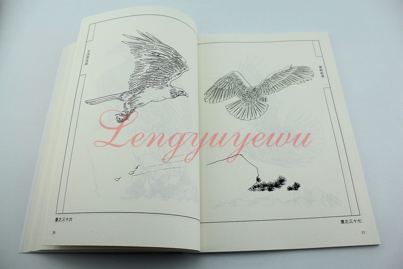 Chinese Ink Painting Hawk Eagle Red-Crowned Cran Outline Sketch Tattoo Book gallery