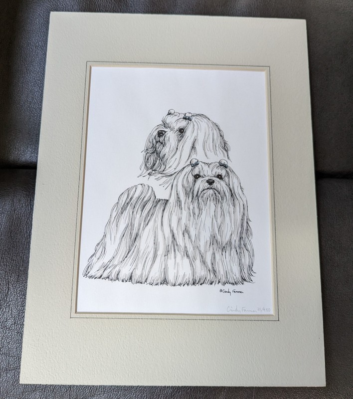 Cindy Farmer Maltese Series Numbered Pen &Ink Signed Print 8"x6" matted 12"x 9" gallery